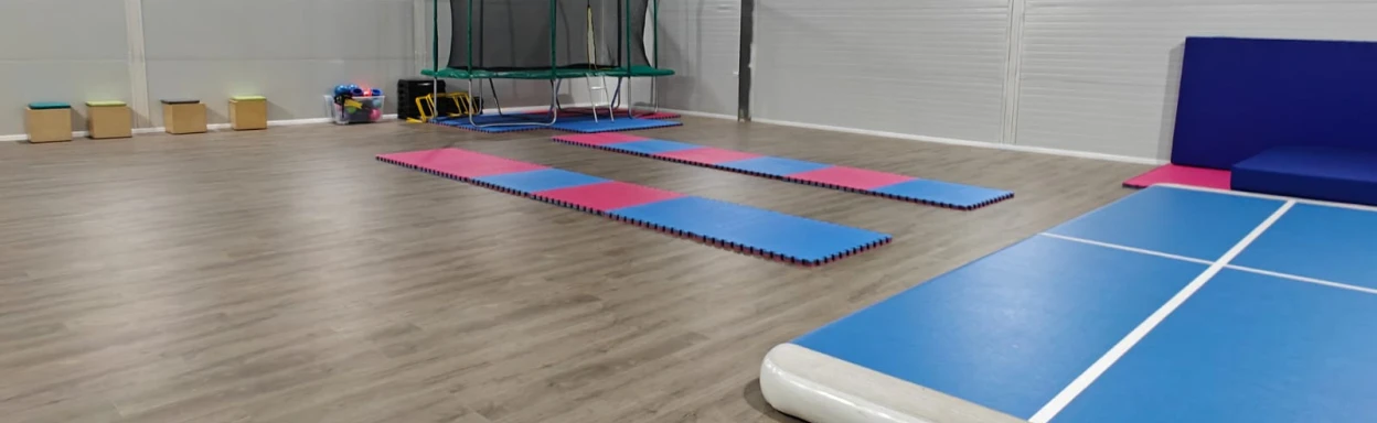 אולם ספורט ללימוד התעמלות